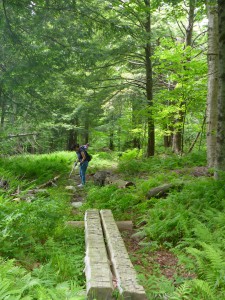 Students work on a trail with tools supplied by CLiA.